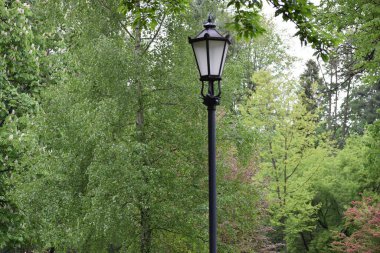 Parktaki ağaçların arka planında fener var..