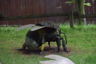 Ormandaki güzel bir kuşun yakın çekimi.