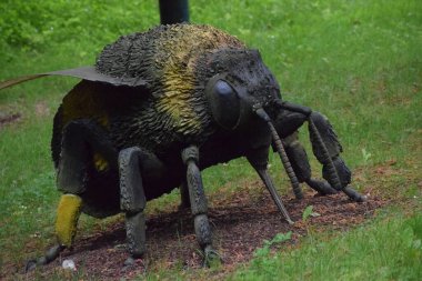 Siyah bir karıncanın yakın plan görüntüsü