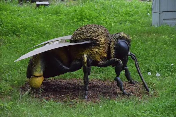 Güzel, kahverengi ve siyah bir böceğin yakın plan fotoğrafı.