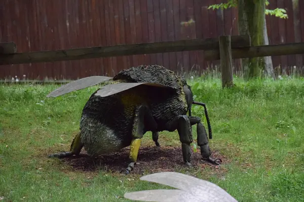 Güzel bir kuşun yakın çekimi.