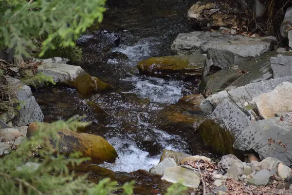 Ormanda güzel bir şelale
