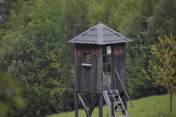 Ormanda ahşap bir ev.