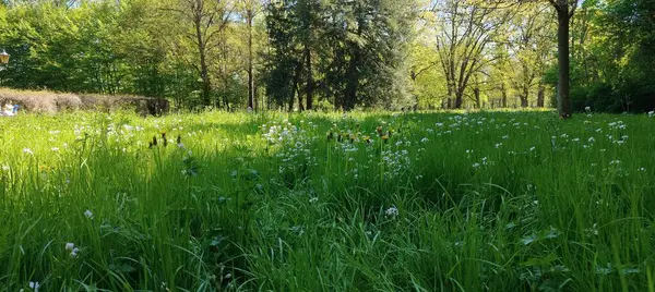 Parkın güzel manzarası