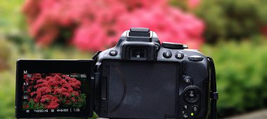 Kapat - bahçenin arka planındaki kameranın görüntüsü