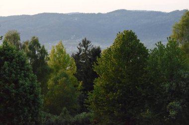 Dağlarda dağları olan güzel bir manzara.