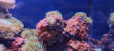 Güzel deniz manzarası