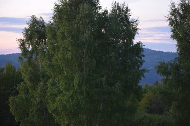 Doğada güzel gün batımı, yolculuk zamanı
