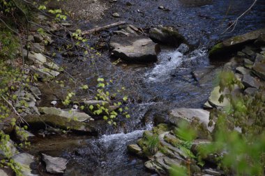 Bir deresi ve küçük bir nehri olan şelale.