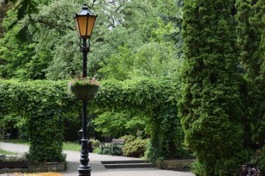 Yazın güzel bir park.