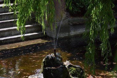 Kyoto, Japonya 'daki Japon bahçesi.