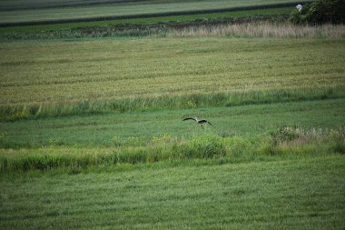 Doğal manzaranın güzel manzarası