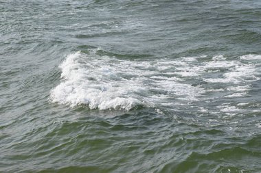 Sahildeki deniz dalgaları