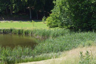 Doğanın güzel manzarası