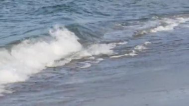 Sahilde deniz köpüğü