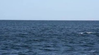 Deniz dalgaları ve mavi gökyüzü