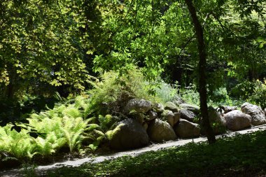 Parkın güzel manzarası