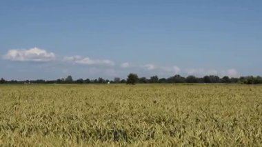 Kırsal manzarası çok güzel.