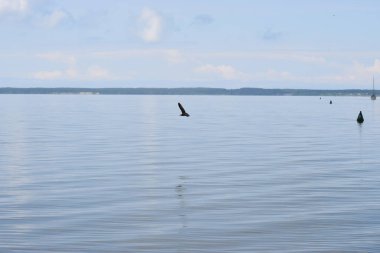 Bir iskeleden Baltık Denizi Körfezi manzarası. Ufuk çizgisi suyun üzerindeki bulutlar, sakin deniz yüzeyi ve atmosferik doğal ışık..