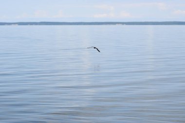 Bir iskeleden Baltık Denizi Körfezi manzarası. Ufuk çizgisi suyun üzerindeki bulutlar, sakin deniz yüzeyi ve atmosferik doğal ışık..