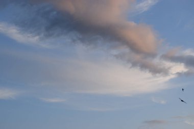 Gökyüzü turuncu, sarı ve mavi-griye boyanmış bulutlarla doludur. Resimli ve huzurlu bir günbatımı manzarası yaratır..