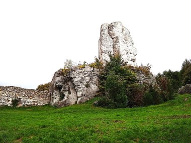 Görüntü, Polonya 'nın Podzamcze kentinde bulunan ve engebeli kaya oluşumları ve çevreleyen yeşilliklerle ünlü doğal bir kent olan Ayı Kayası' nı gösteriyor..
