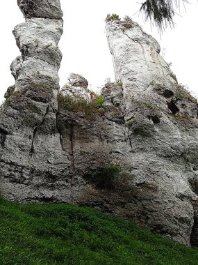 Kuleye benzer kaya oluşumları, tabanlarındaki yeşil bitki örtüsünün üzerine yükselir ve dramatik bir doğal manzara yaratır..