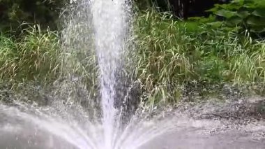 Parktaki güzel şelale