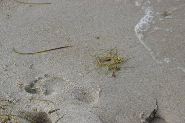 Islak deniz kumlarında insan ayak izleri, sakinliği çağrıştıran doğal bir sahne ve sahilde bir insanın varlığı..