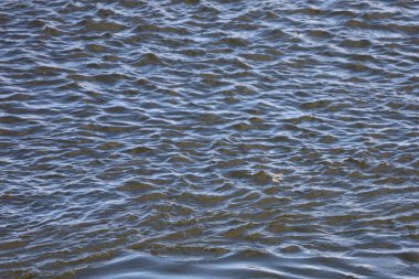 Vistula Nehri 'ndeki su dalgalarının yakın çekimi, doğal hareketi, yansımaları, dokuyu ve nehir manzaralarının dinamik güzelliğini yakalıyor..