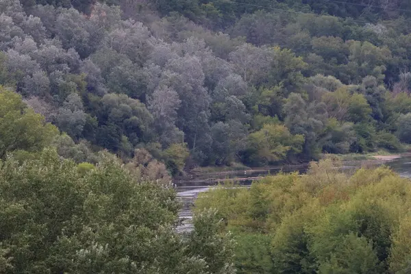 Polonya 'nın Swiecie kenti yakınlarındaki Vistula Nehri' nin hava manzarası, yemyeşil ağaçlar ve bitki örtüsüyle çevrili, bölgenin doğal güzelliğini ve huzurlu manzarasını gösteriyor..