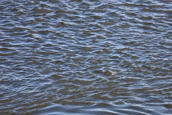 Vistula Nehri 'ndeki su dalgalarının yakın çekimi, doğal hareketi, yansımaları, dokuyu ve nehir manzaralarının dinamik güzelliğini yakalıyor..