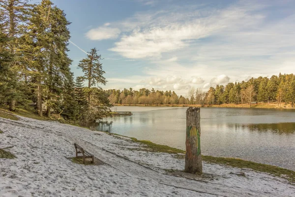 豪雪と自然からの冬の景色 — ストック写真