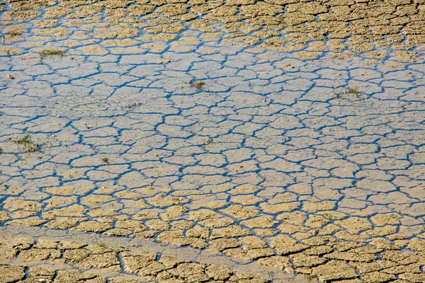 Глобальное Потепление Засуха Природе — стоковое фото