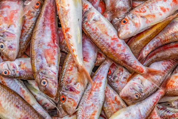 Peixe Fresco Pronto Para Venda Barraca Pesca — Fotografia de Stock