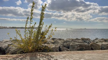 Moda, İstanbul, Türkiye. 22 Ekim 2022 Moda plajından Marmara Deniz Manzarası İstanbul, Türkiye 'de sıcak bir hafta sonu tatili sonrası