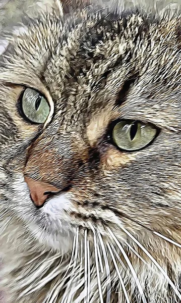 Sevimli Arkadaşlar Kediler Doğada Kapatın — Stok Vektör