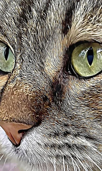 Закрыть Симпатичных Друзей Кошек Природе — стоковый вектор