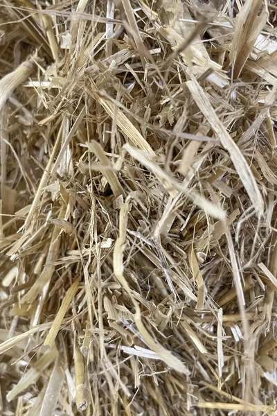 Close Hay Bale Background — Photo