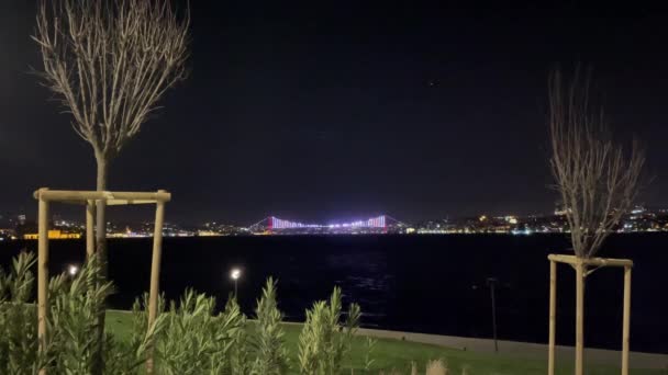 萨拉伯努 伊斯坦布尔 土耳其 2023年1月19日 伊斯坦布尔是欧洲大陆和亚洲大陆之间的梦想之城 清晨和冬季从Sarayburnu公园俯瞰伊斯坦布尔和博斯普鲁斯海峡的壮丽景色 — 图库视频影像