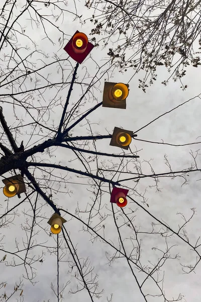 decorative lamps hanging on the tree