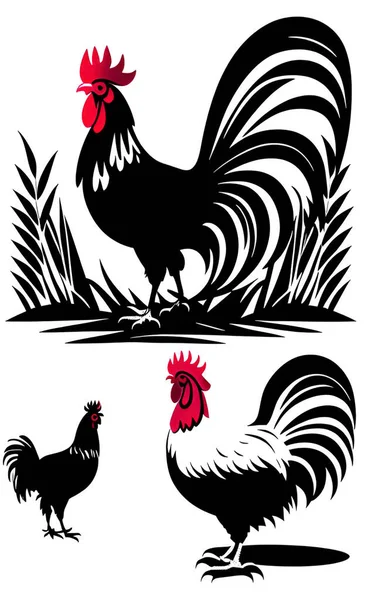 Farm Animal Drawing Rooster Chicken Silhouette — Stockový vektor