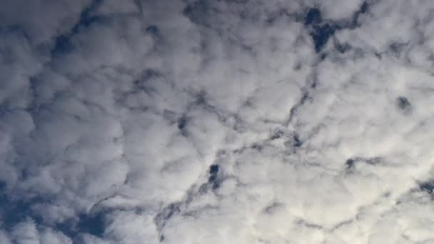 Dichte Wolken Wolkenbewegingen Lucht — Stockvideo