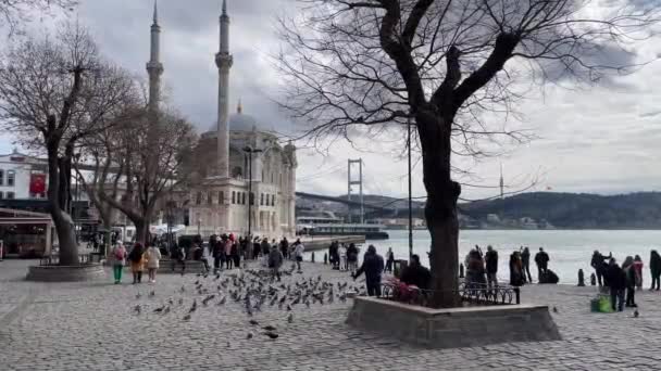 Ortakoy Istanbul Turkey February 2023 Istanbul Historical Touristic Square Bosphorus — Vídeo de stock