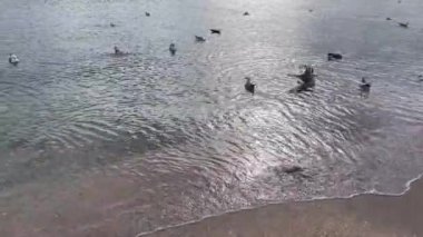 Yesilkoy,istanbul,Turkey.February 11,2023.Marmara sea view from Yesilkoy beach, the summer resort town and suburb of Istanbul, in winter season.