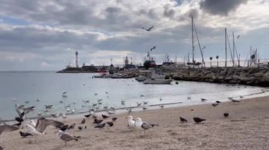 Yesilkoy,istanbul,Turkey.February 11,2023.Marmara sea view from Yesilkoy beach, the summer resort town and suburb of Istanbul, in winter season.