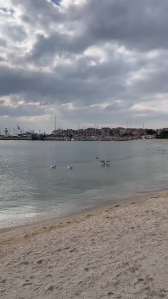 Yesilkoy Stambuł Turcja Lutego 2023 Marmara Widok Morze Plaży Yesilkoy — Wideo stockowe