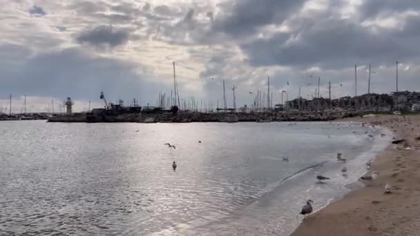 Yesilkoy Stambuł Turcja Lutego 2023 Marmara Widok Morze Plaży Yesilkoy — Wideo stockowe