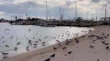 Yesilkoy,istanbul,Turkey.February 11,2023.Marmara sea view from Yesilkoy beach, the summer resort town and suburb of Istanbul, in winter season.