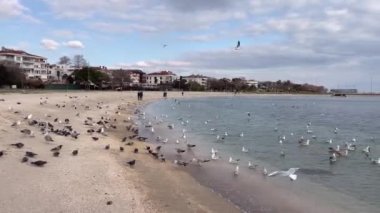 İstanbul yazlık beldesi ve banliyösü Yesilkoy, İstanbul 'dan 11 Şubat 2023 Marmara deniz manzaralı Yesilkoy, İstanbul.